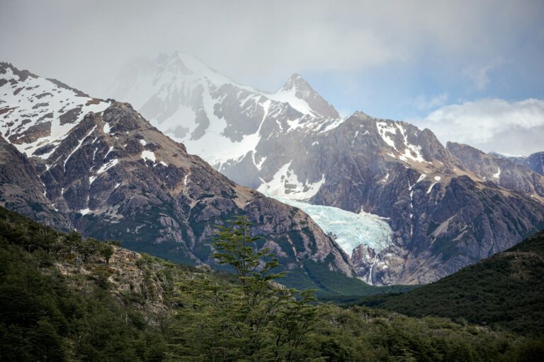 A mountain range covered in snow and trees