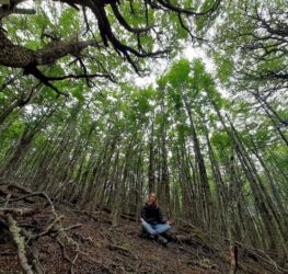 Imagen de WhatsApp 2025-09-25 a las 15.48.57_0af18280